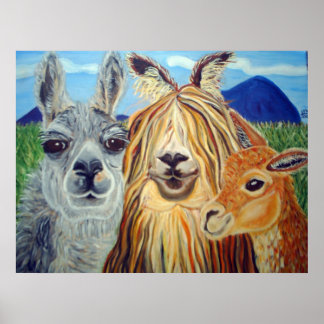 TREFFEN LLAMAS:LLAMA,ALPACA,VICUNA!! POSTER