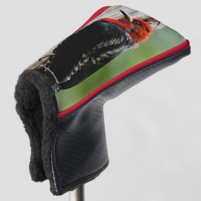 Treffen mit einem Rotschnabelschnäpper Golf Headcover (3/4 Vorderseite)