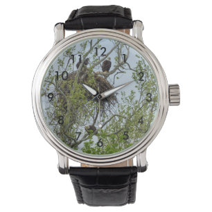 Treffen Sie die Adlerfamilie Armbanduhr