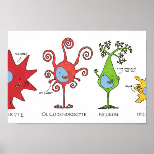 Treffen Sie Ihre Gehirnzellen WIDE Poster