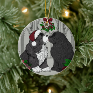 Treffen Sie mich unter dem mistletoe Neufundland Keramik Ornament