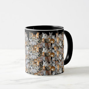 Treffpunkt für Katzen - Collage Tasse
