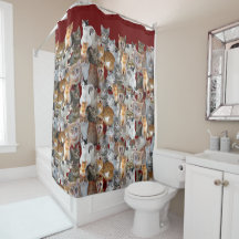 Treffpunkt für Katzen - niedlich