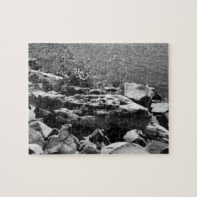 Treibholz (Horizontal)