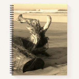 Treibholz Costa Rica Strand Foto Notizbuch