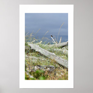 Treibholz & Distant Eagle Design von COHOE13 Poster