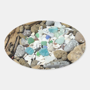 Treibholz Meeresmuscheln Aufkleber Meer Glas Fossi