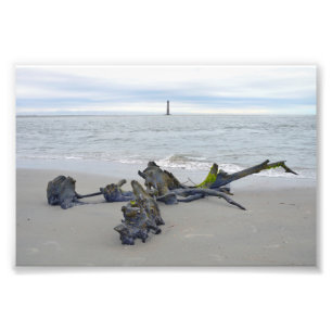 Treibholz, Morris Island Leuchtturm South Carolina Fotodruck