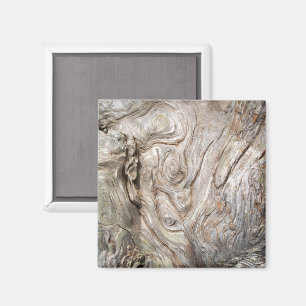 Treibholz - Schönes Naturkunstwerk Magnet