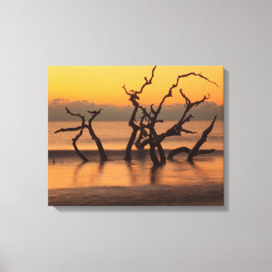 Treibholzstrand bei Sonnenaufgang Jekyll Island Ge Leinwanddruck