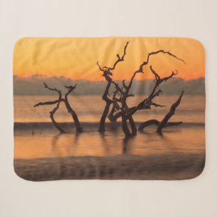 Treibholzstrand bei Sonnenaufgang Jekyll Island Ge Sherpadecke