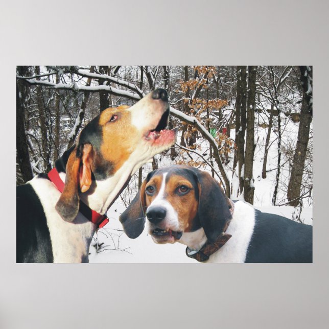 Trek Walker Coonhound Poster Snowy Woods (Devant)