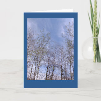 Trembles contre une carte de note de blanc de ciel