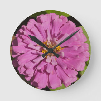 Trend-Kissen mit lila Zinnia Runde Wanduhr