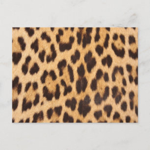 trendiger girly schicker wilder Safari-Leoparden-D Postkarte