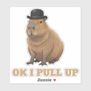 Trendiges und lustiges Capybara-Meme-Design Aufkleber