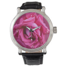 Trendrosa Rosa Blütenrose Moderne boho schön