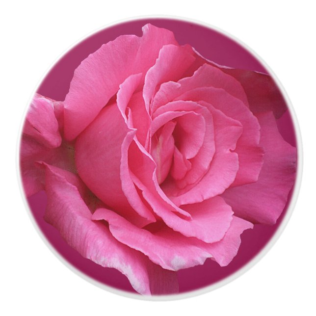 Trendrosa Rosa Blütenrose Moderne boho schön Keramikknauf (Vorderseite)