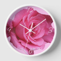 Trendrosa Rosa Blütenrose Moderne boho schön