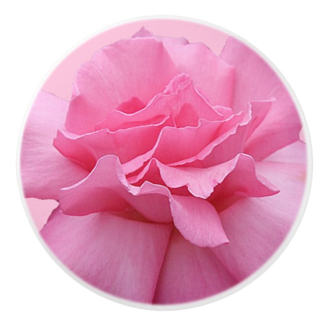 Trendrosa Rosa Keramik niedlich boho floral weiß Keramikknauf (Vorderseite)