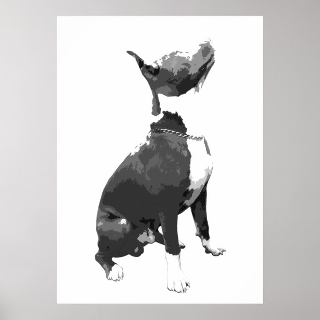 Trendschwarz-weißer Pit Bull Hund Poster (Vorne)
