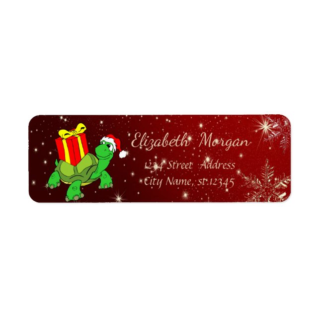 Trendy Christmas, Turtle, Weihnachtsmannmütze, Geg (Vorne)