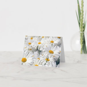 Trendy Daisy Design