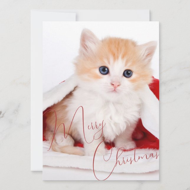 Trendy Pet Lovers Frohe Weihnachten (Vorderseite)