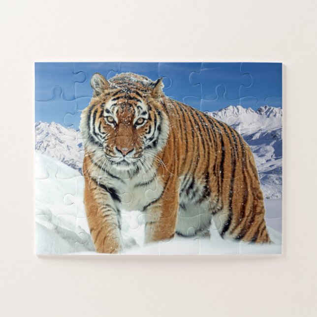 Trendy Tiger Snow Mountains Tierisches Foto (Horizontal)