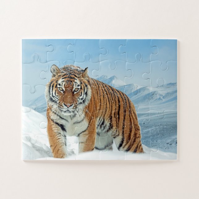 Trendy Tiger Snow Mountains Tierisches Foto Winter (Horizontal)
