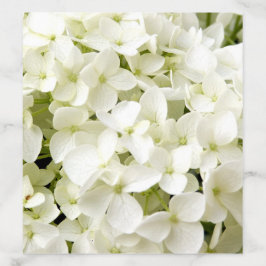 Trendy Traditional Elegant White Hydrangea Wedding