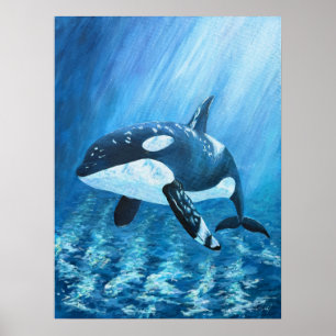 Trent Orca Killerwal-Druck ALLE GRÖßEN Poster