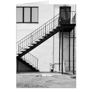 Treppe in Schwarz und Weiß
