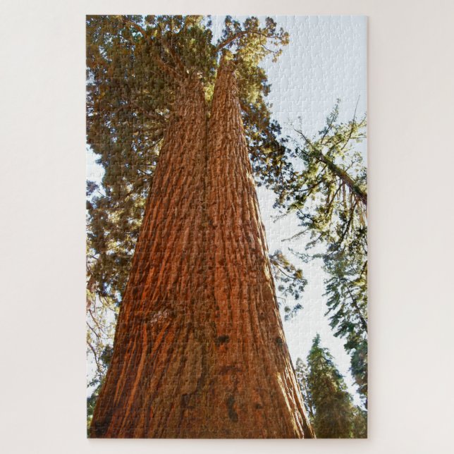 Treppenbaum, Yosemite (Vertikal)