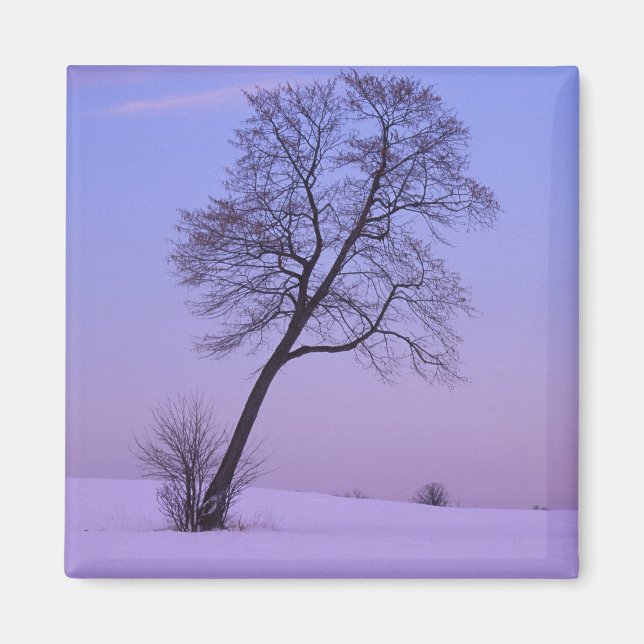 Treppengeländer auf dem Schneefeld; Chippewa-Landk Magnet (Vorne)