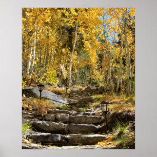 "Treppenhaus zum Herbst", Zitterpappel, Porträt Poster
