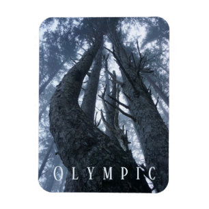 Treppenhäuser aus dem Boden, Olympischer Nationalp Magnet