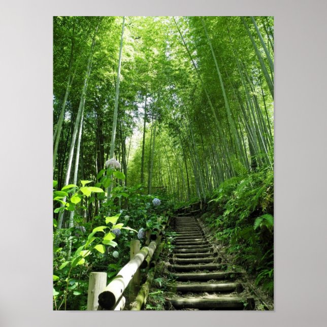 Treppenstufen des Bambo-Waldes Printing Poster (Vorne)
