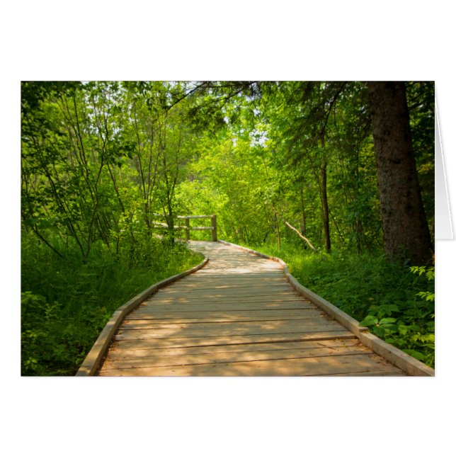 Treppenweg (Vorderseite (Horizontal))