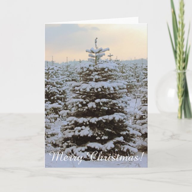 Très belle carte de voeux de Noël! (Devant)