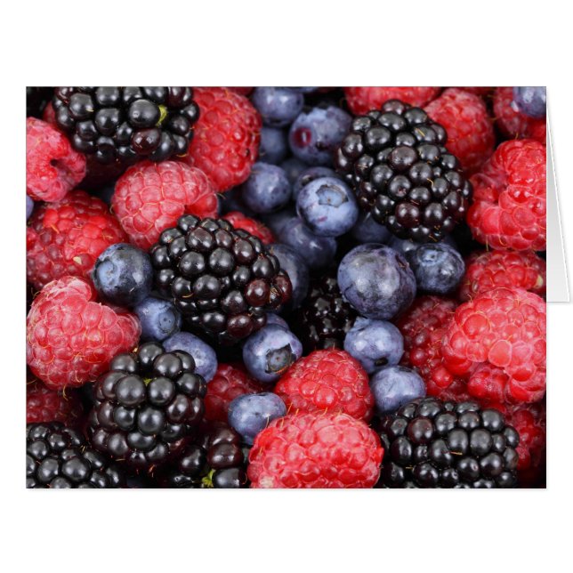 Très Berry (Devant horizontal)