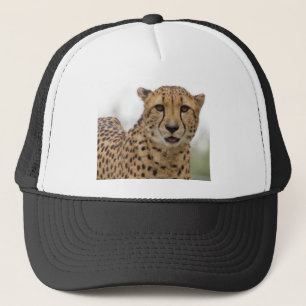 Très mignon Casquette de la faune