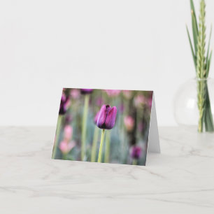 Tres schicke Tulpe-Anmerkungs-Karte Karte
