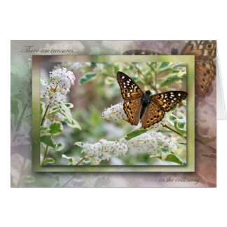 Trésors dans l'ordinaire