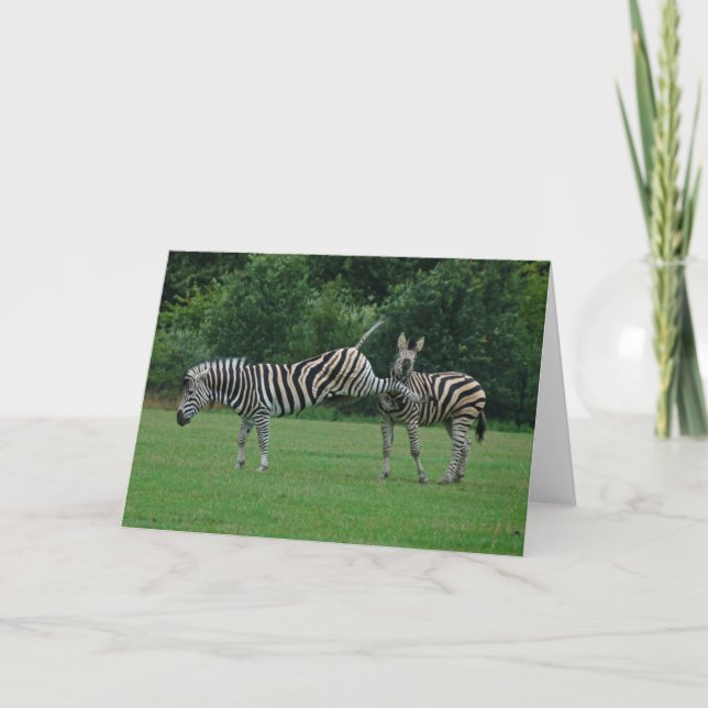 Treten der Zebragrußkarte Karte (Vorderseite)