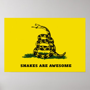Treten Sie nicht auf meiner Flagge Parodie Poster