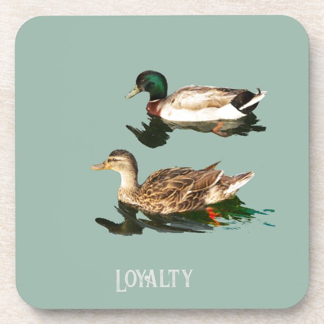 Treue der Enten Getränkeuntersetzer (Vorderseite)