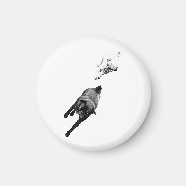 Treue Freunde, Küchenmagnet Magnet (Vorne)