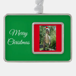 TREX Dinosaurier mit einem Weihnachtshut Rahmen-Ornament Silber