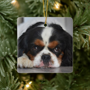 Tri Color Cavalier King Charles Hund Keramikornament